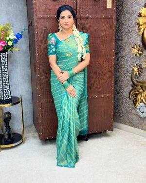 Georget sarees