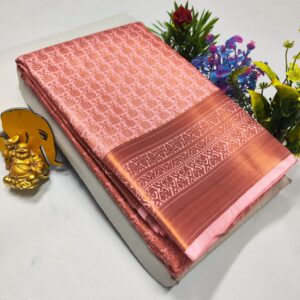 EXCLUSIVE BRIDAL SAREE COLLECTIONS