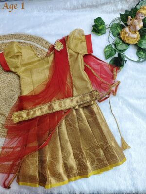 Velvet Tissue Fancy Kids Dress