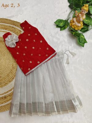 Velvet Tissue Fancy Kids Dress