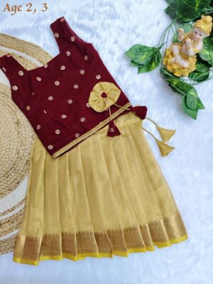 Velvet Tissue Fancy Kids Dress