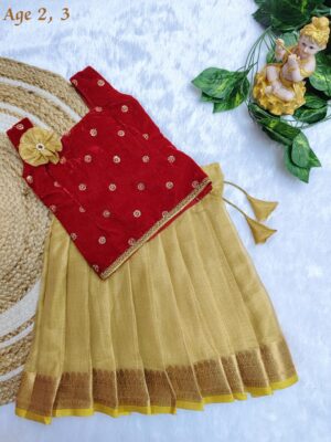 Velvet Tissue Fancy Kids Dress