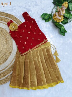 Velvet Tissue Fancy Kids Dress